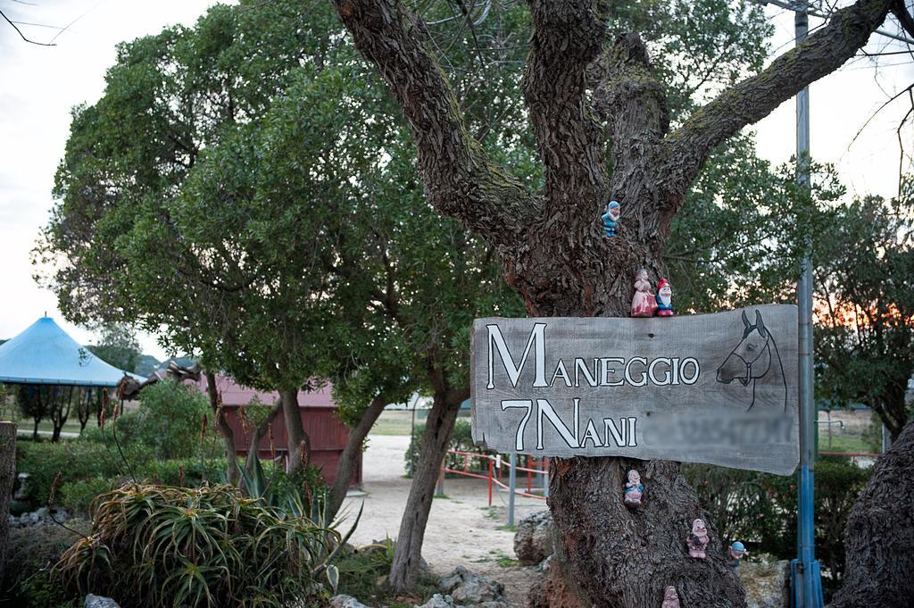 Villa Gisella Punta Prosciutto Bagian luar foto